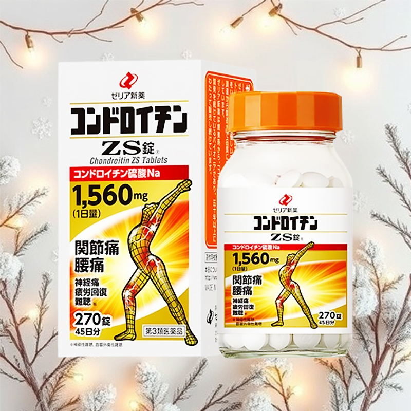 콘드로이친 ZS (270정)
