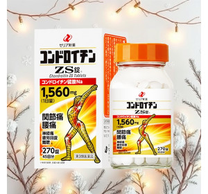 콘드로이친 ZS (270정)