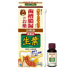 고바야시제약 생엽 20g