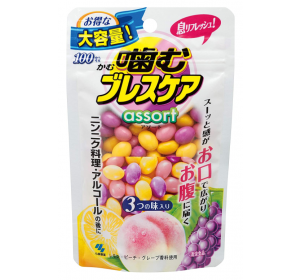 씹는 브레스케어 파우치 어솔트 100정