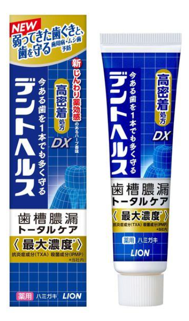 라이온 덴트헬스 DX 치루농루 충치예방 치약 28g