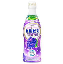 칼피스 거봉 희석용 470ml