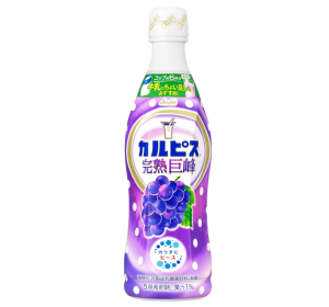 칼피스 거봉 희석용 470ml
