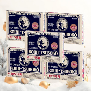 동전파스 로이히츠보코 156매 5개 세트